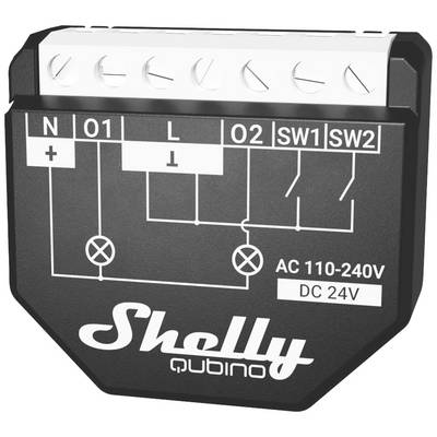 Shelly Qubino Wave 2PM